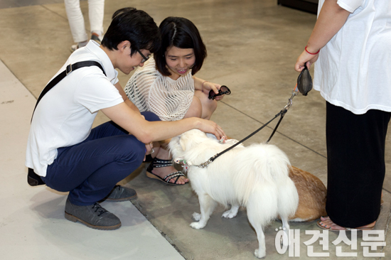 [포토]부산국제반려동물박람회, 동물들과 즐거운 시간