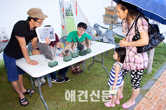 [포토]어느 쪽이 부엉이 날개일까요?,순천만동물영화제 현장