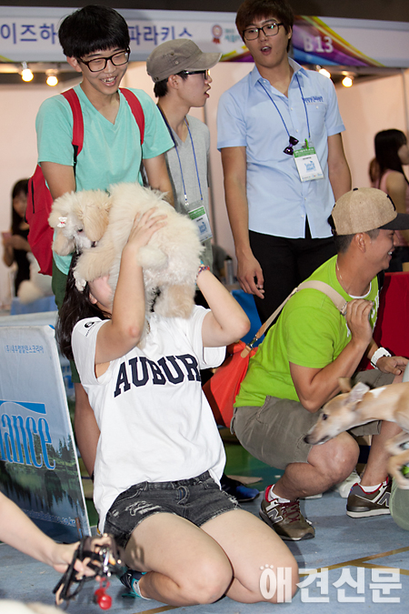 [포토]'웃음 만발' 애견달리기 현장, 서울 FCI 국제 도그쇼