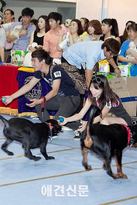 [포토]'웃음 만발' 애견달리기 현장, 서울 FCI 국제 도그쇼