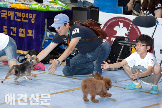 [포토]'웃음 만발' 애견달리기 현장, 서울 FCI 국제 도그쇼