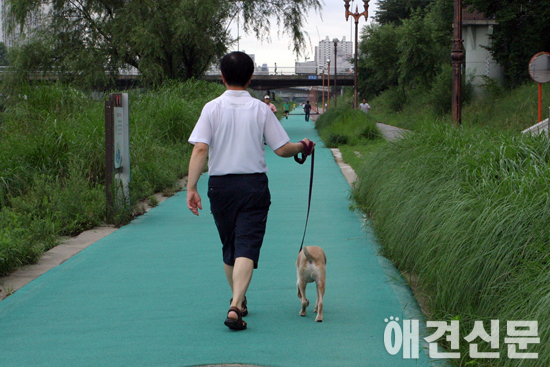 [인터뷰] '지오 어쩌면 내게 거는 주문일 거야' 고영리 작가