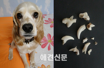 [인터뷰] '지오 어쩌면 내게 거는 주문일 거야' 고영리 작가