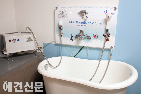 [탐방] 상큼발랄 왕씨 자매의 강아지 천국 '애견카페 왕왕'