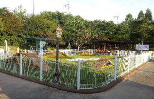 단풍철, 애견과 쉬어갈 수 있는 고속도로 휴게소 눈길