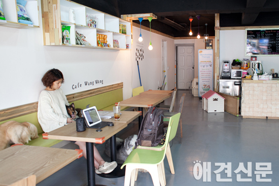 [탐방] 상큼발랄 왕씨 자매의 강아지 천국 '애견카페 왕왕'