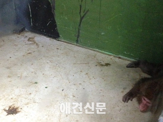 동물자유연대, 김해 부경동물원의 사육 환경과 관리 문제점 제기