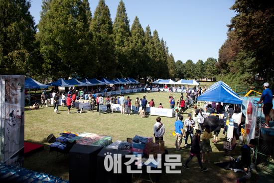 내추럴발란스 '제2회 가을운동회' 개최