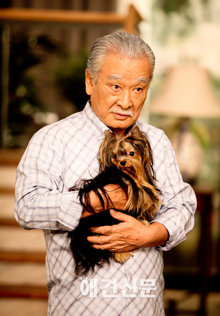 애견사랑에 푹 빠진 꽃남 스타들