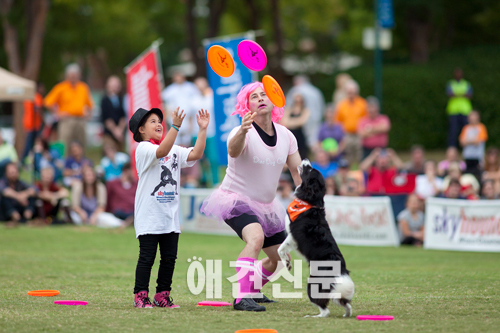 스카이하운즈 월드챔피언십 스토리Ⅱ