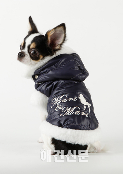 [탐방] 대구 애견의류공장 '마리앤마리'