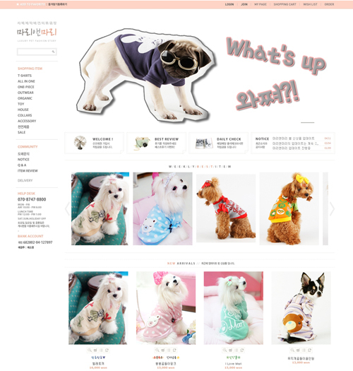 [탐방] 대구 애견의류공장 '마리앤마리'