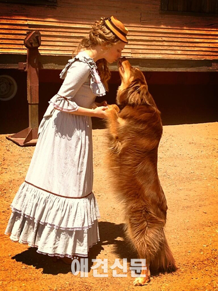 헐리웃 애견스타 아만다 사이프리드, 한국 팬들 위한 선물 인증샷 공개