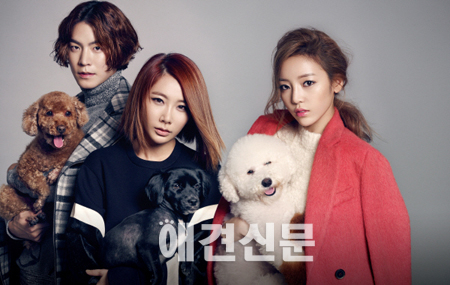 반려동물 관련 TV프로그램 봇물 '재미·감동, 다 잡을까?'