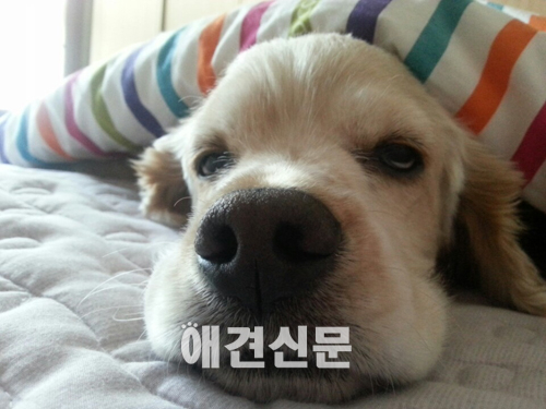 [인터뷰-아듀2013] ①최성 고양시장, 김학영 마술사,고영리 작가