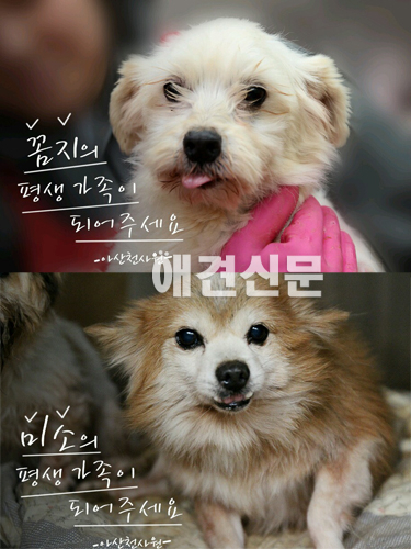 [인터뷰-아듀2013] ②레이싱걸 임민영,Robin Dorman,노나미 수의사