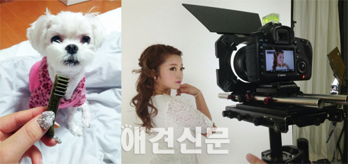 [인터뷰-아듀2013] ③전자밴드 샤인, 모델 나유미, 고정록 대표