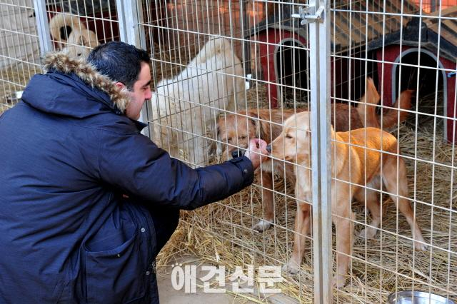 네슬레 퓨리나, 겨울철 유기동물 위해 펫푸드 기부