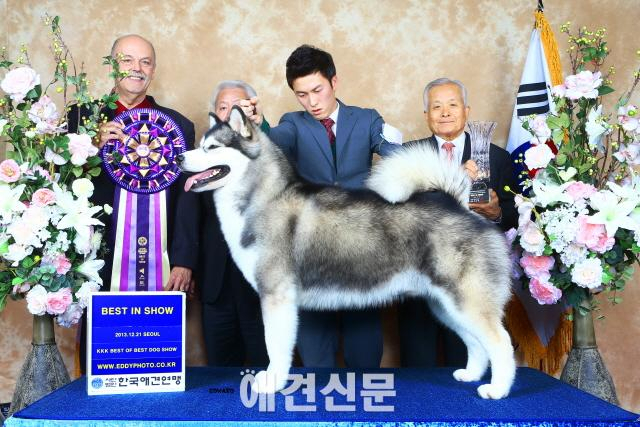 제50회 KKF 애견미용 자격검정 컨테스트 및 베스트 오브 베스트 도그쇼 성공 개최