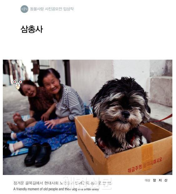 농림수산검역본부, 동물사랑 사진 공모전 모음집 인기..