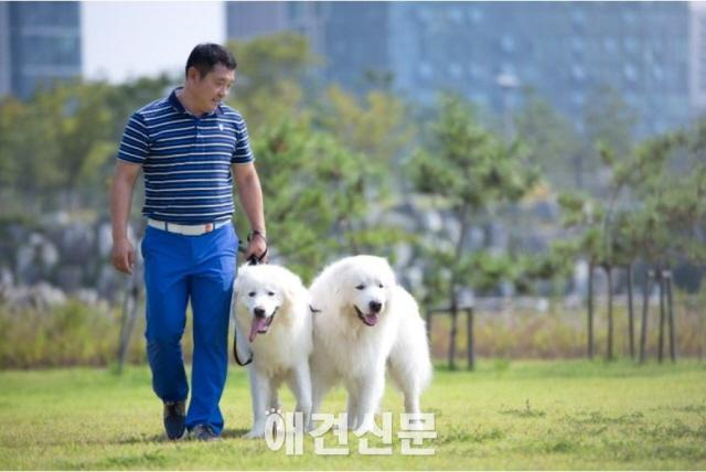 국민애견 허비 상근이, 암으로 투병중 사망..