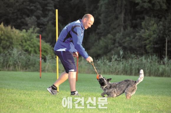 펫트코리아, 훈련장난감 전문 독일브랜드 메이저독 독점 수입