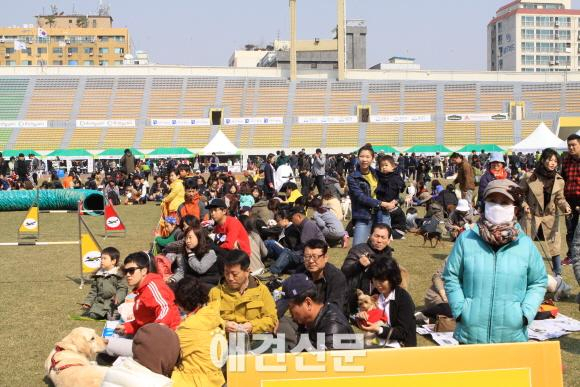 경기 펫페스티벌, 애견인의 한마당행사로...