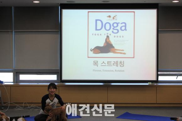 KOPET 2014, 양재AT센터에서 3만여명 관람..