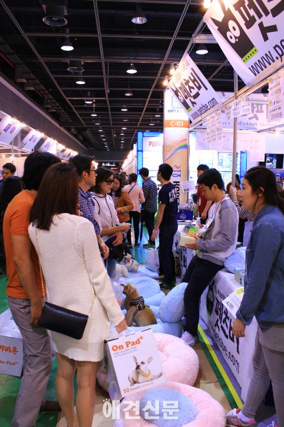 KOPET 2014, 양재AT센터에서 3만여명 관람..