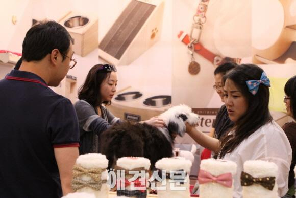 KOPET 2014, 양재AT센터에서 3만여명 관람..