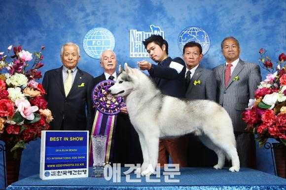 올 해 최초 빅쇼 '2014년 대구 FCI 국제도그쇼' 엑스코에서 역대 최대 규모 개최