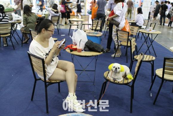제2회 부산 국제 반려동물산업박람회, 3일간 부산 벡스코에서 열려..