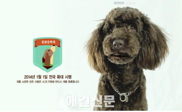 농림축산식품부, 동물등록제 UCC 공모전 수상작 발표