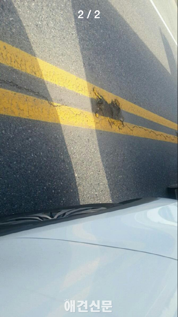 완주군, 로드킬당한 동물위로 중앙선 그어 논란..