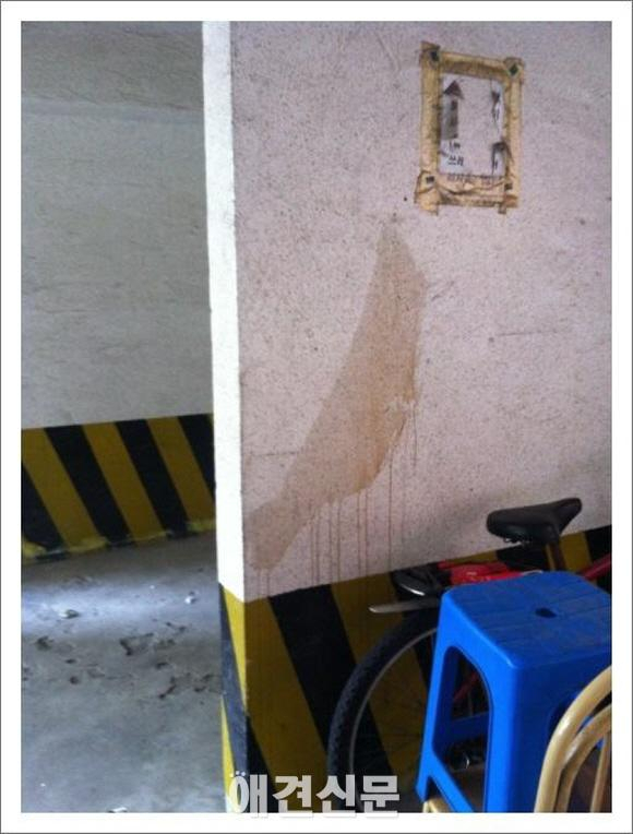 건물 벽 배수구에 죽은 고양이, 얼굴만 내놓고 죽어 있어.