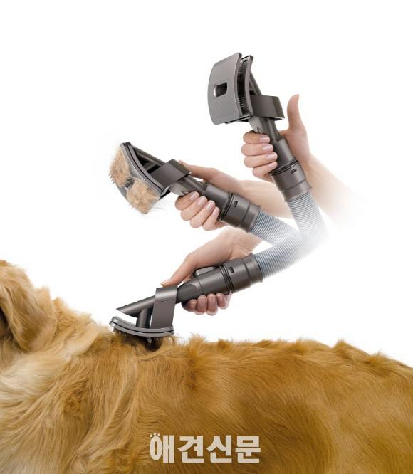 새로운 다이슨 시네틱™ 싸이클론 기술로 또 한 번 앞서가다!