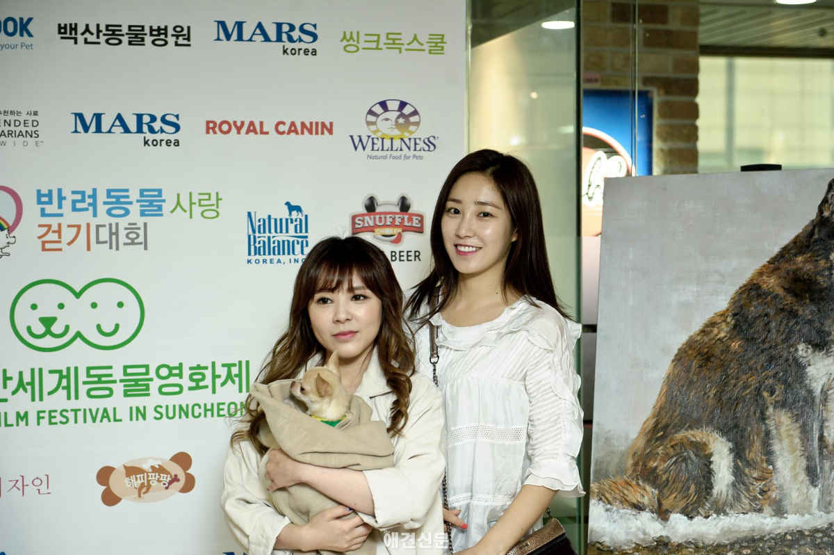 제2회 마음나누미 유기견 돕기 바자회, 800여명 방문으로 호황..