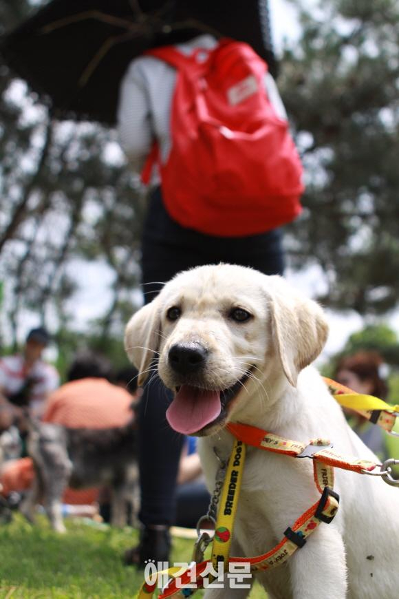 우리 아이들의 마지막 소풍, 170여명의 자원봉사자와 함께..