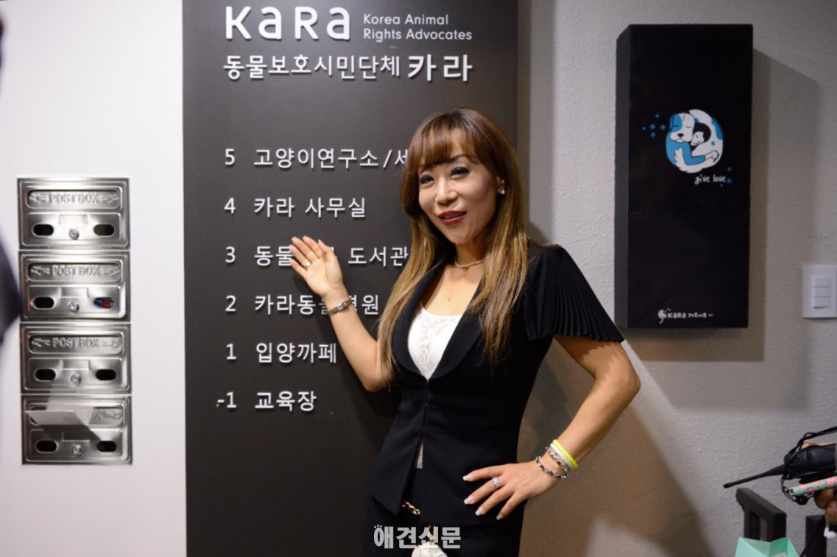 동물보호시민단체 카라, 더불어숨 센터 개관..