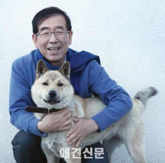 서울시장 공관 지키는 진돗개 관리비 과다' 논란에 서울시 "방호견 역할