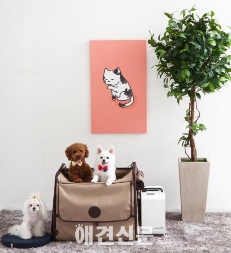 펫 가전 전문 ﻿﻿'﻿﻿붐(VUUM)﻿﻿'﻿﻿, 반려동물 위한﻿﻿ ﻿﻿펫케어시스템﻿﻿ ﻿﻿출시