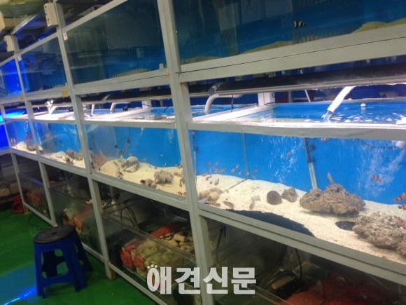 19일, 한국펫소매협회 추계 정기모임 열려..