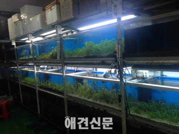 19일, 한국펫소매협회 추계 정기모임 열려..