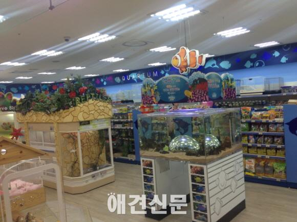 19일, 한국펫소매협회 추계 정기모임 열려..