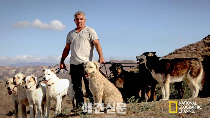 말 안 듣는 우리 개의 머릿속이 궁금하다면?