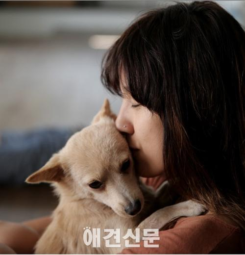 소길댁 이효리의 '반려견 모카 이야기'
