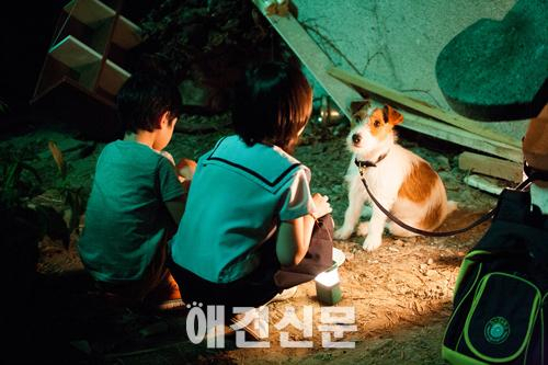 '개를 훔치는 완벽한 방법' 윌리, 천재 연기견 계보 잇는다