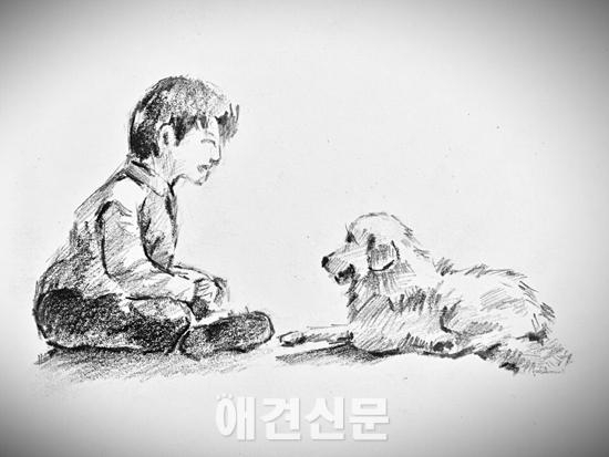 유기견 밤비 이야기 '어린 주인의 슬픈 선택'