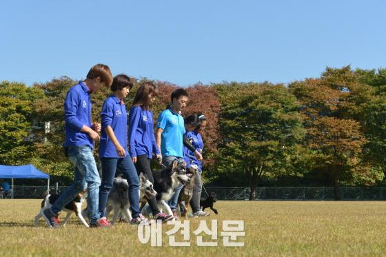 '동물과사람' 국내 최초 애견 국비교육과정 개설