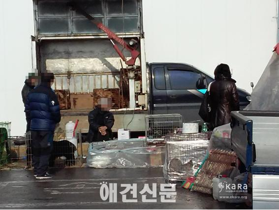 카라, 성남 모란재래가축시장 재개장에 폐쇄 요구 캠페인